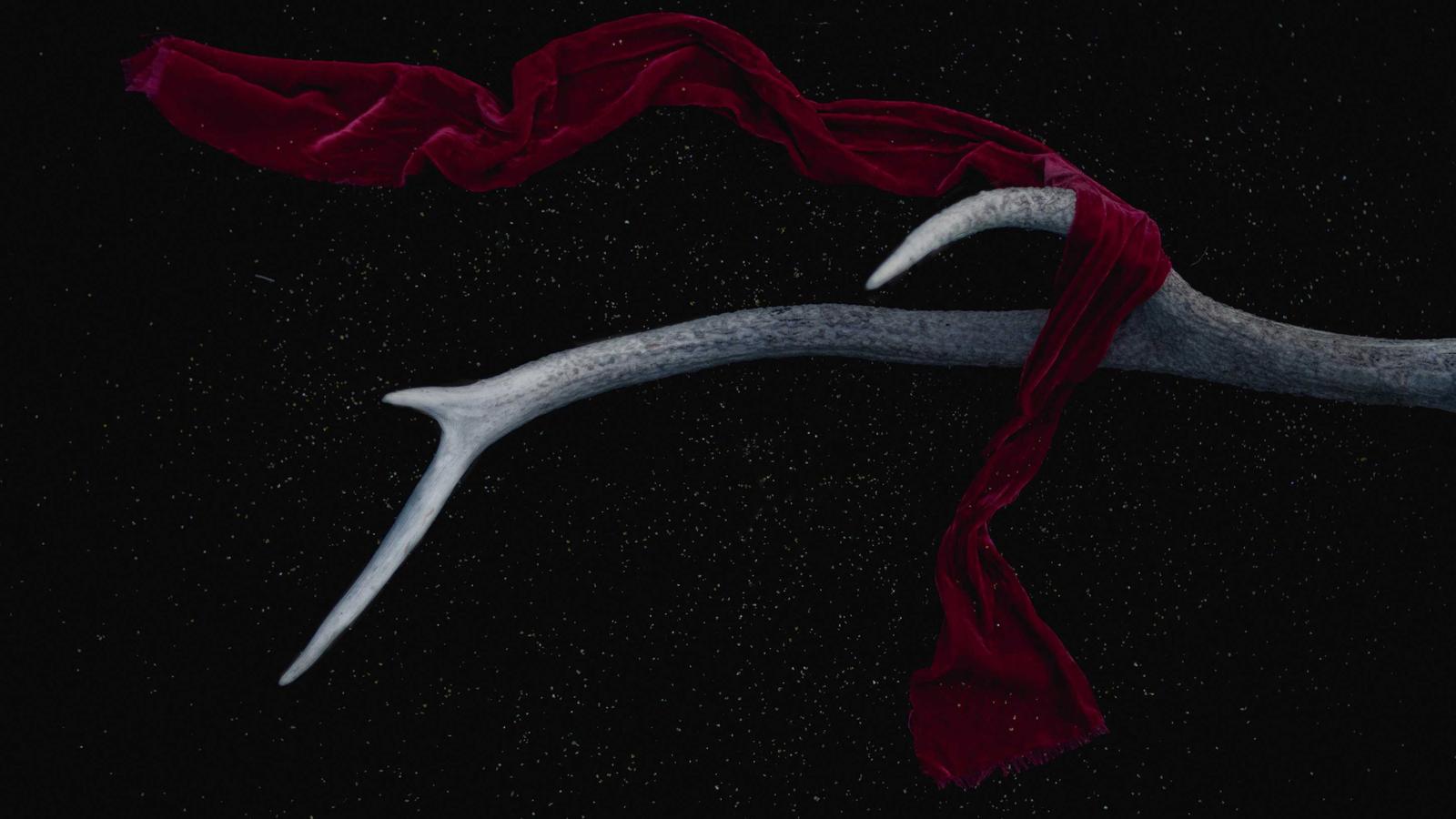 Grayscale high-contrast photo of geometric architectural stairs and sharp shadows.