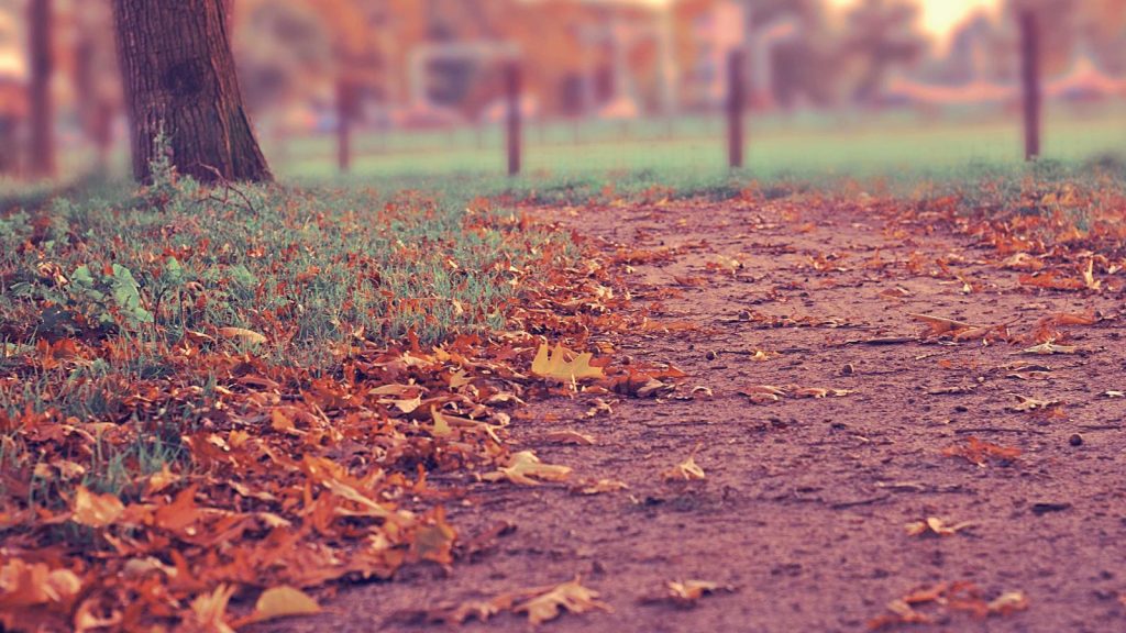 Grayscale sculpture with a vibrant orange light reflection on a smooth wall.